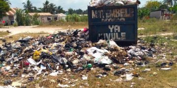 Tanzania grapples with alarming plastic packaging surge despite bag ban